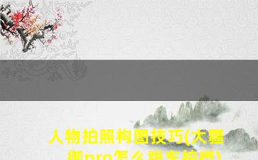 人物拍照构图技巧(大疆御pro怎么跟车拍摄)