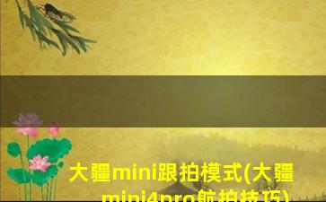 大疆mini跟拍模式(大疆mini4pro航拍技巧)