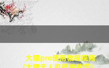 大疆pro使用教程视频(大疆无人机操控教学)