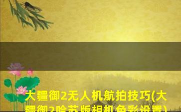 大疆御2无人机航拍技巧(大疆御2哈苏版相机色彩设置)