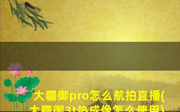 大疆御pro怎么航拍直播(大疆御3t热成像怎么使用)